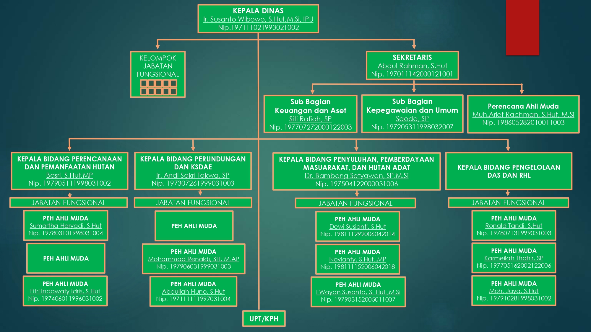 Struktur Organisasi